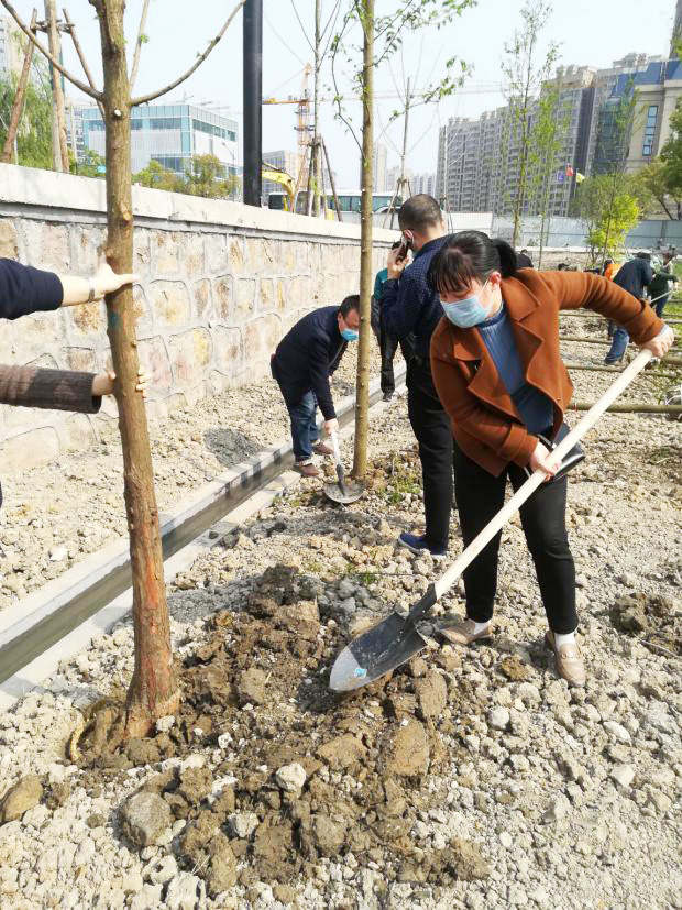 2024年澳门原料免费